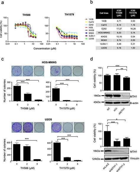 TH1579, MTH1 inhibitor, delays tumour growth and inhibits.